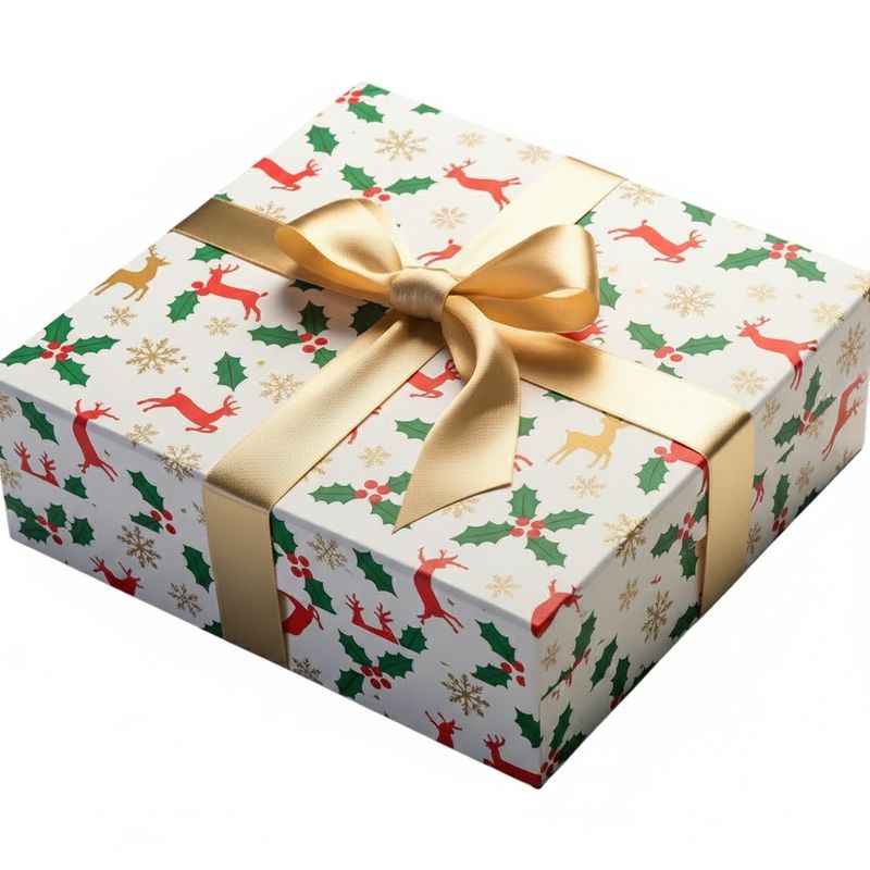RB-14 Generische starre Box