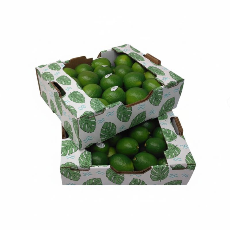 RB-218 Obst-Stabilschachtel